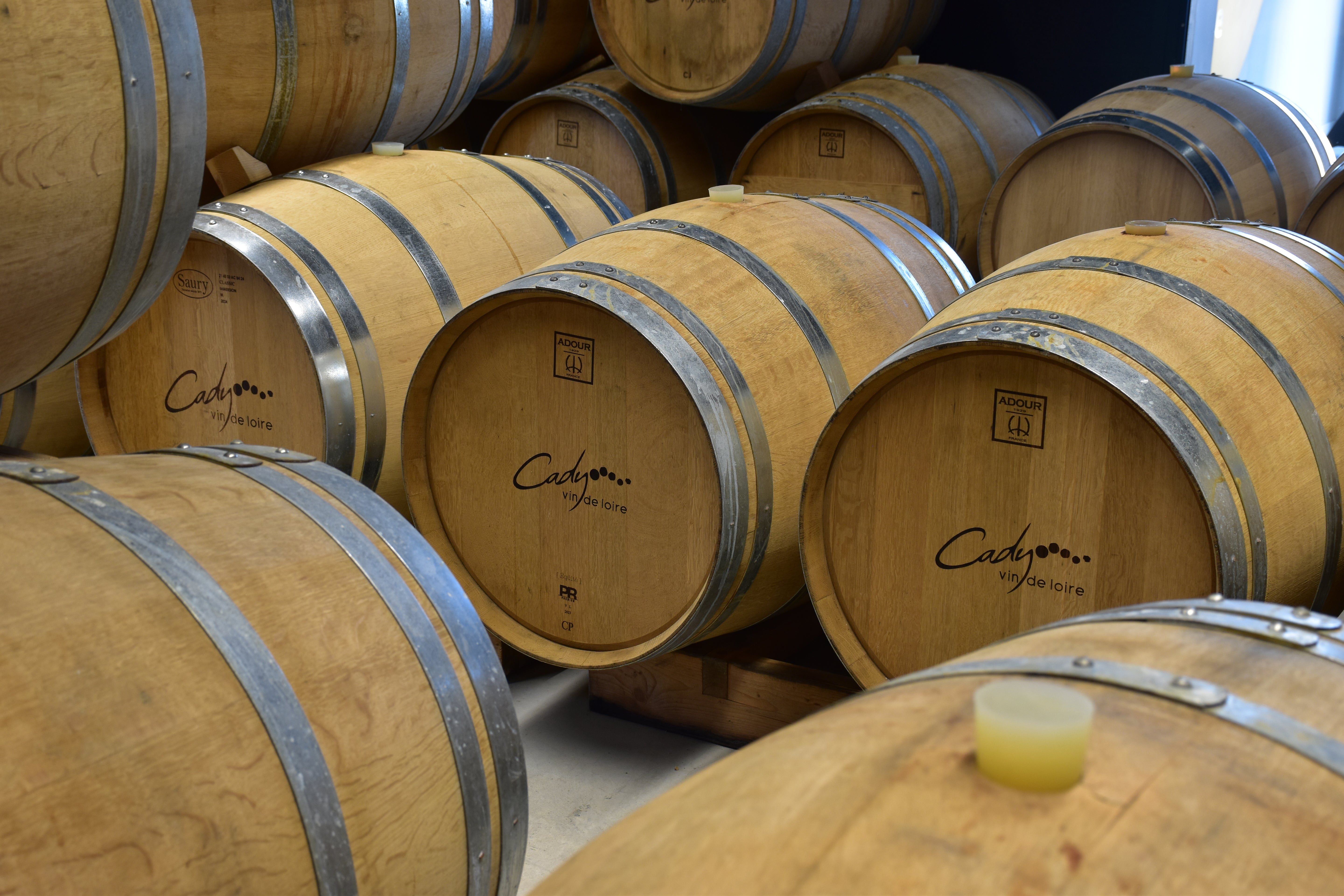 Barriques en chêne